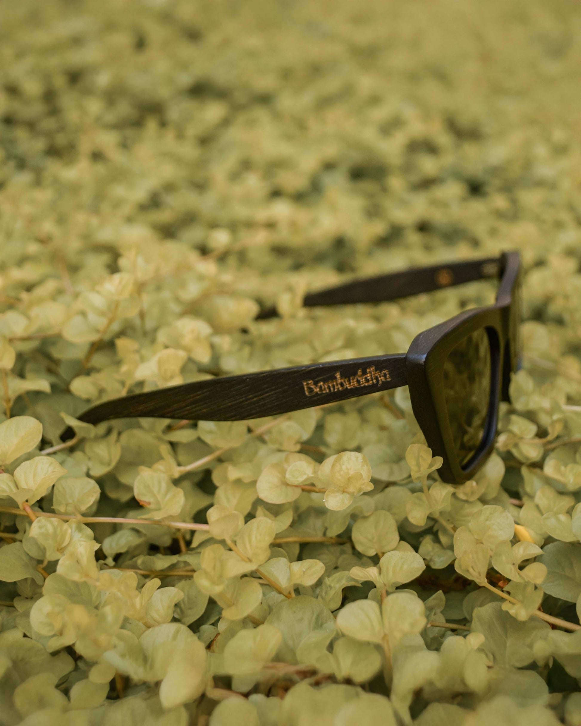 Vintagío | Polarized Bamboo Sunglasses-2