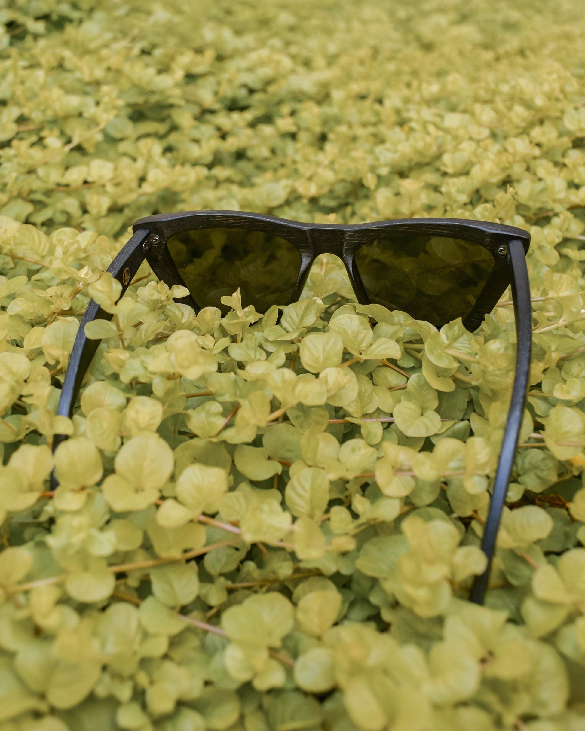 Vintagío | Polarized Bamboo Sunglasses-4